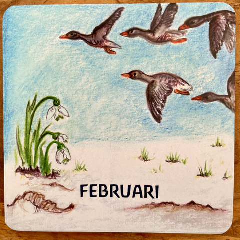 Februari Heilige Nachten